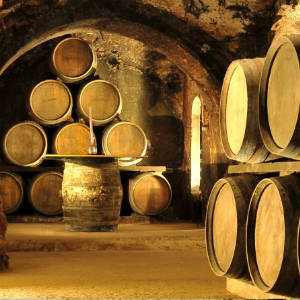 Control de plagas para bodegas