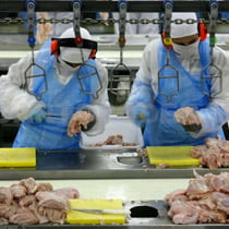 Control de plagas para industria alimentaria
