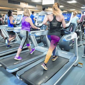 Control de plagas en gimnasios y centros de fitness