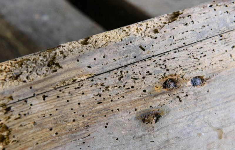 Tratamiento de la madera