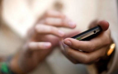 Cómo elegir una empresa de control de plagas: criterios y preguntas